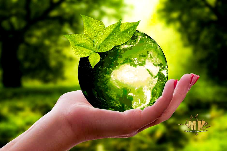 Projet Recyclage